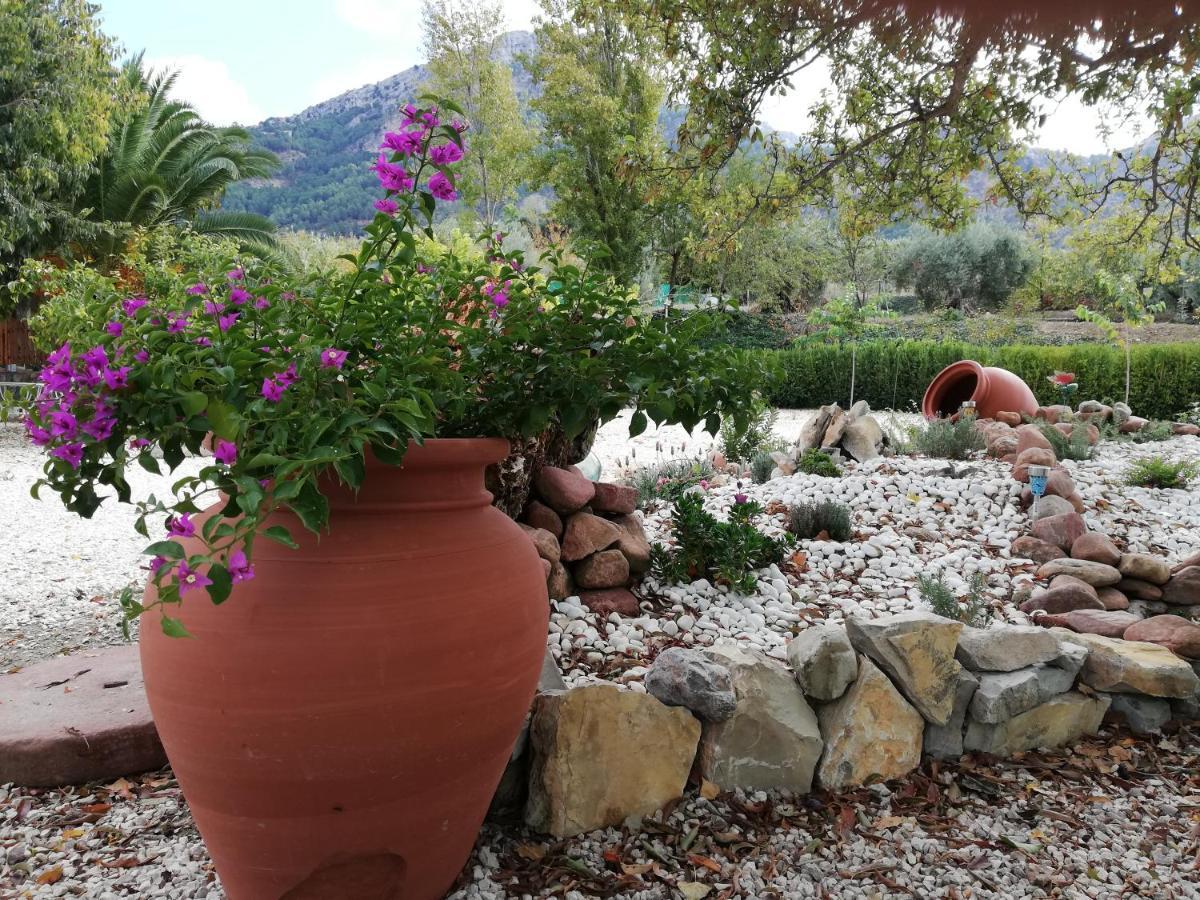 Alojamiento Rural Casa Fuente Del Prado ラ・イルエラ エクステリア 写真